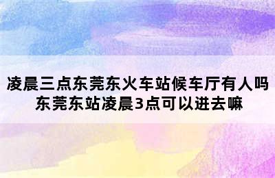 凌晨三点东莞东火车站候车厅有人吗 东莞东站凌晨3点可以进去嘛